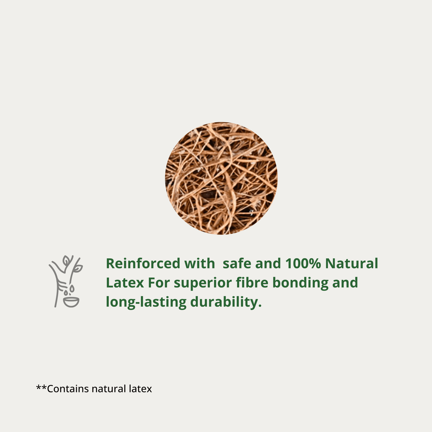 Coconut Coir Cleaning Scrub Pad |Natural, Biodegradable & Effective - OIKO