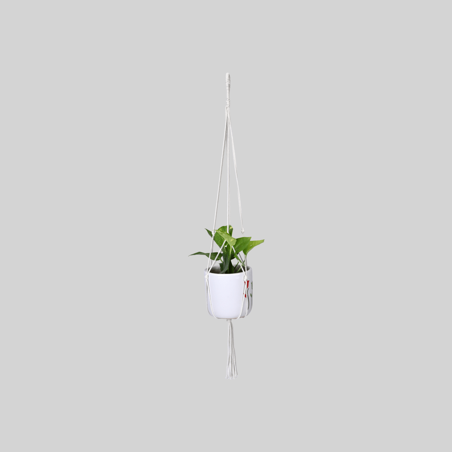 Macrame Cotton Assorted Plant Hanger pack of 3 | Stylish Indoor Decor - OIKO