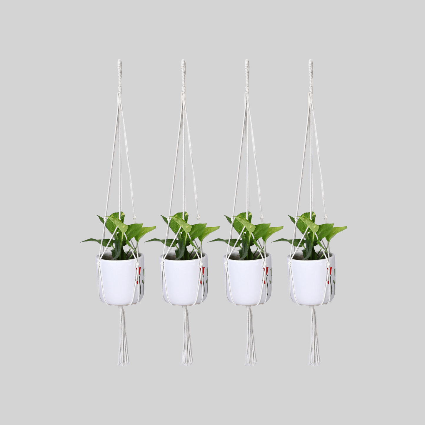 Macrame Cotton Plant Hanger | Stylish Indoor Decor - OIKO