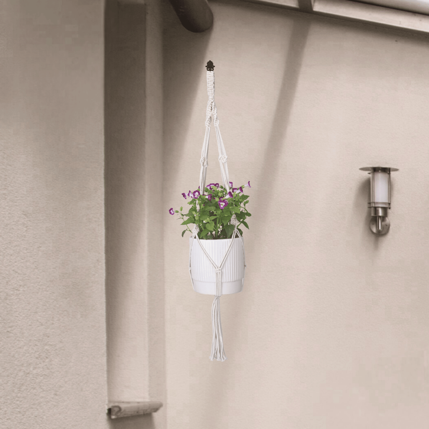 Macrame Cotton Plant Hanger | Stylish Indoor Decor - OIKO