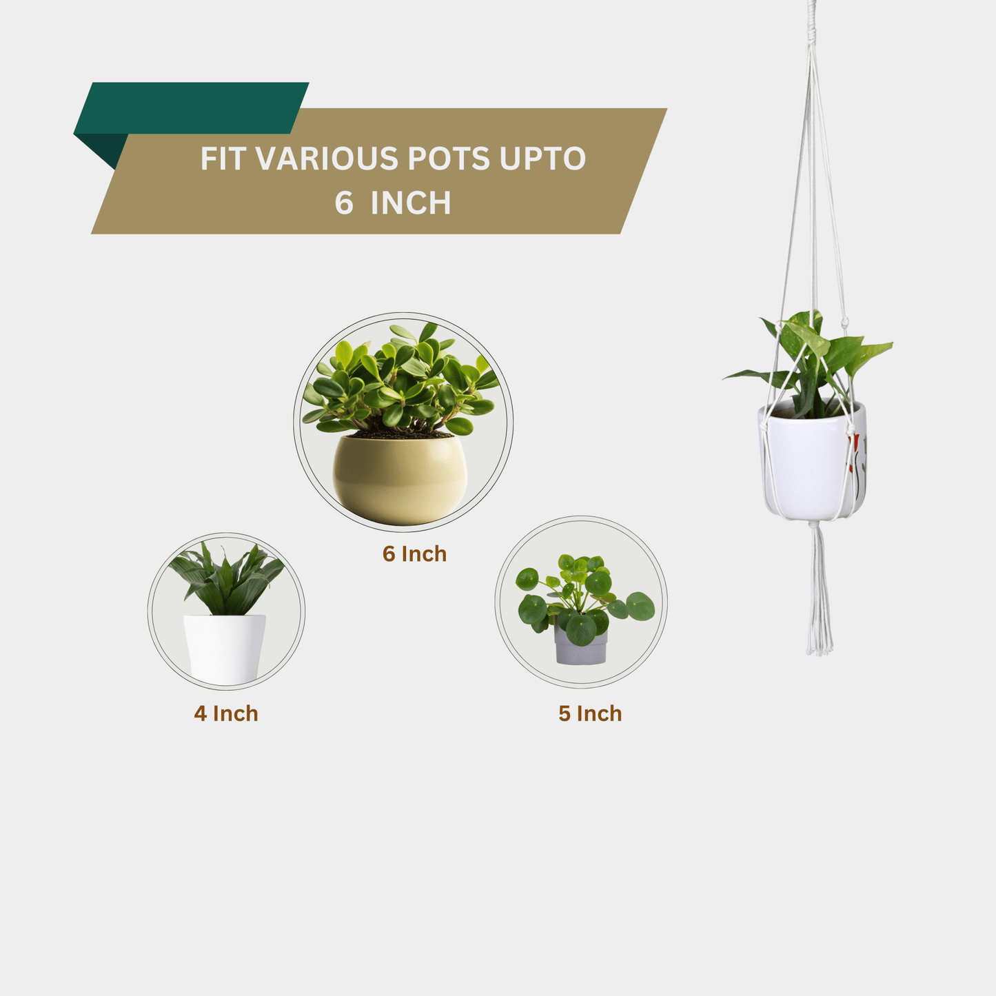 Macrame Cotton Plant Hanger | Stylish Indoor Decor - OIKO
