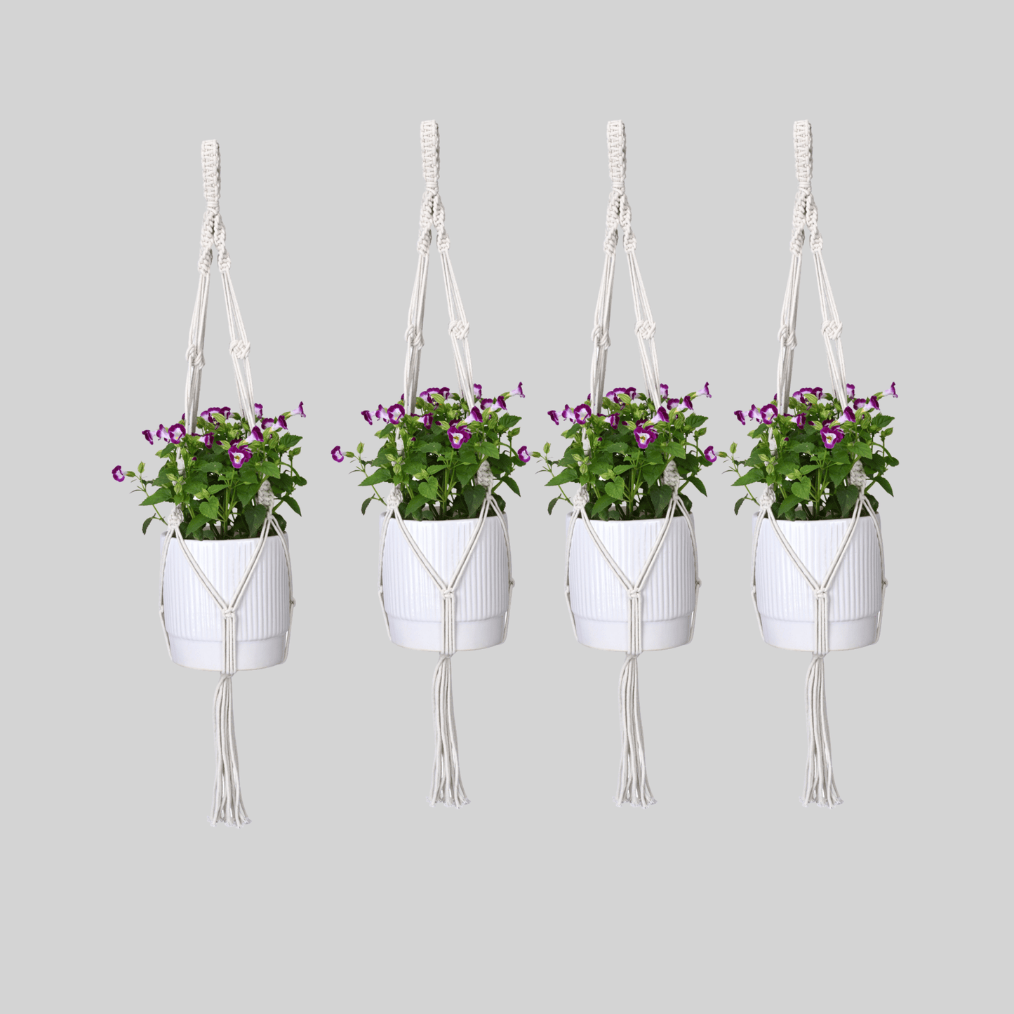 Macrame Cotton Plant Hanger | Stylish Indoor Decor - OIKO