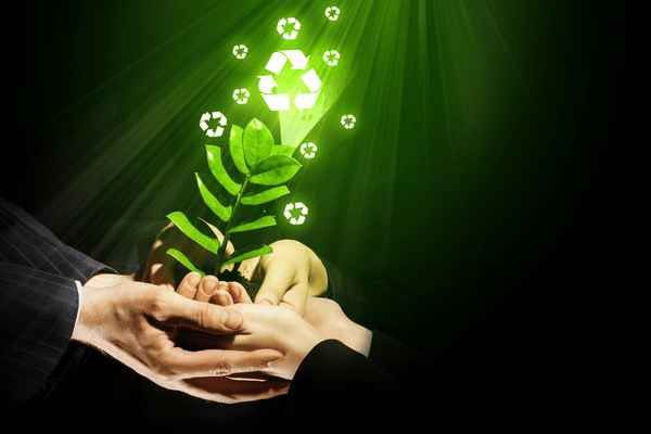 Conscious Consumerism: The Power of Sustainable Choices - OIKO