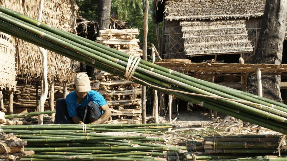 Why Bamboo Is Considered One of the Best Sustainable Materials? - OIKO