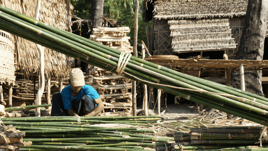 Why Bamboo Is Considered One of the Best Sustainable Materials? - OIKO