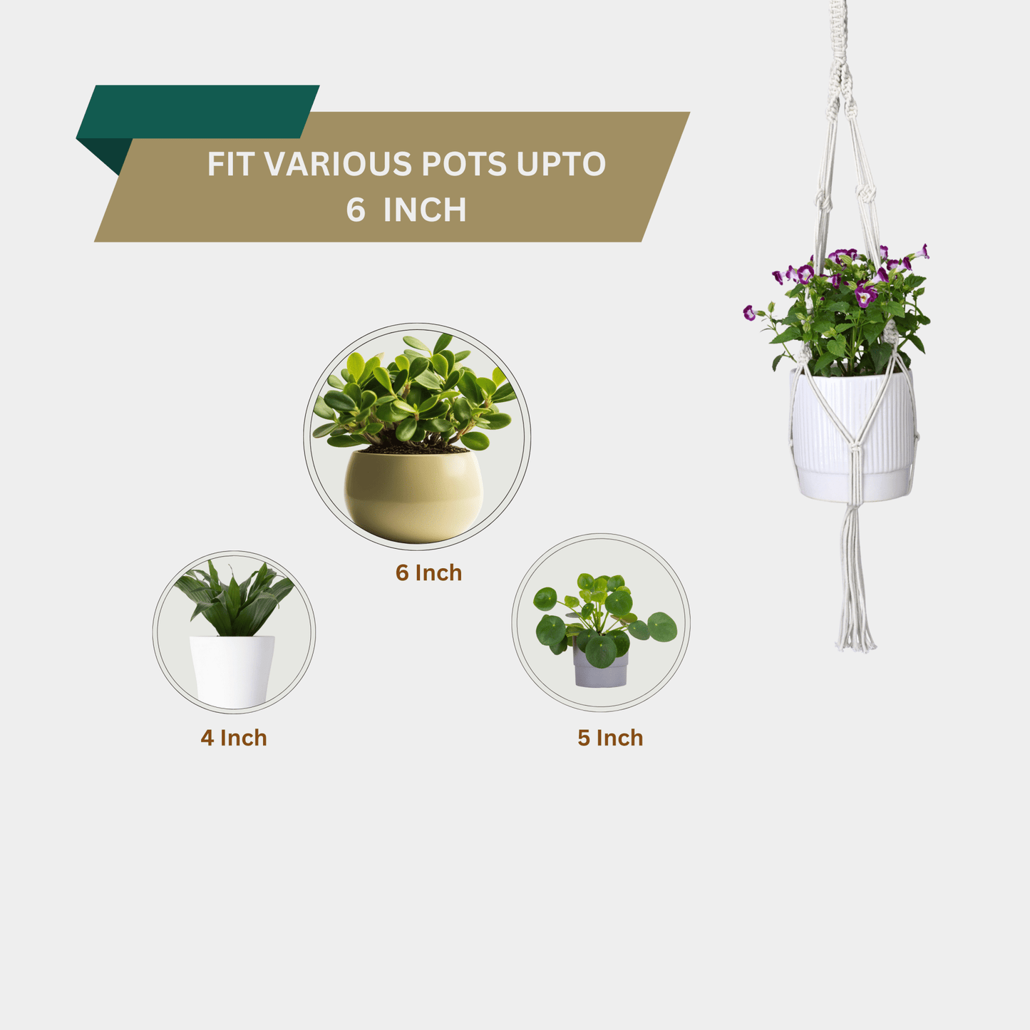 Macrame Cotton Assorted Plant Hanger pack of 3 | Stylish Indoor Decor - OIKO