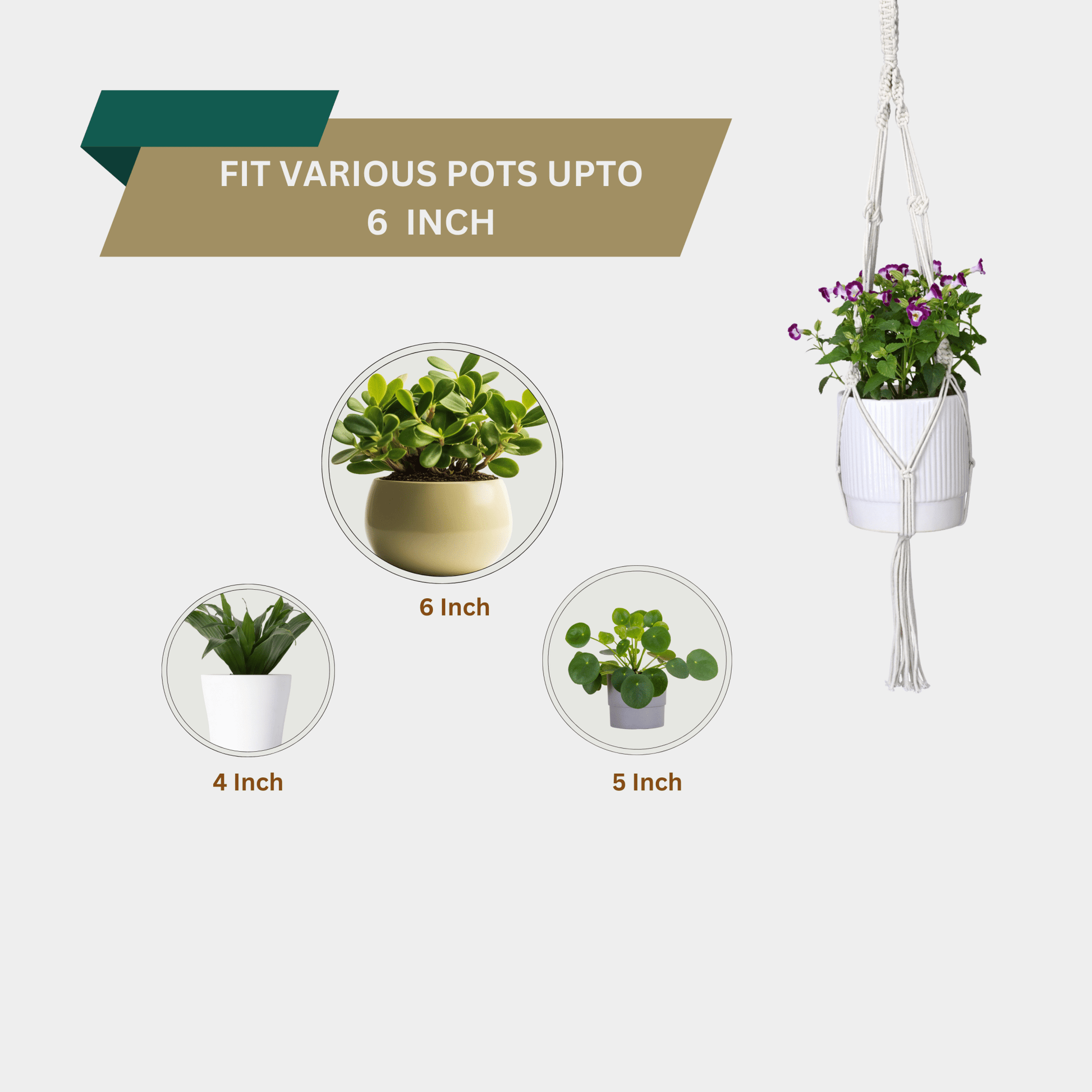 Macrame Cotton Assorted Plant Hanger pack of 3 | Stylish Indoor Decor - OIKO