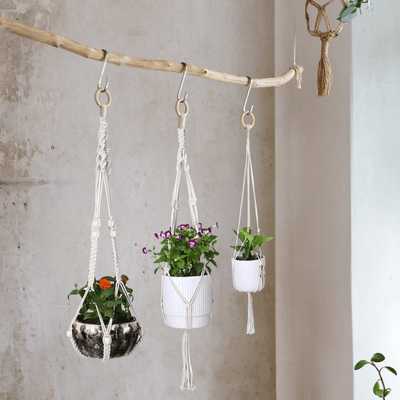 Macrame Cotton Assorted Plant Hanger pack of 3 | Stylish Indoor Decor - OIKO