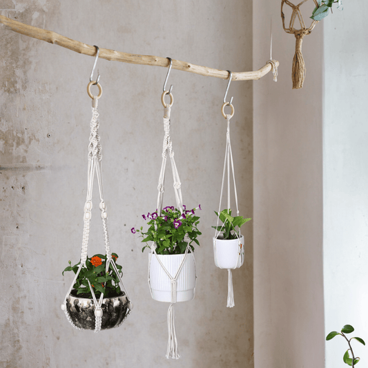 Macrame Cotton Assorted Plant Hanger pack of 3 | Stylish Indoor Decor - OIKO