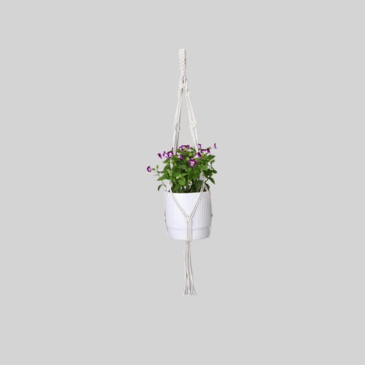 Macrame Cotton Assorted Plant Hanger pack of 3 | Stylish Indoor Decor - OIKO