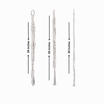 Macrame Cotton Assorted Plant Hanger pack of 3 | Stylish Indoor Decor - OIKO