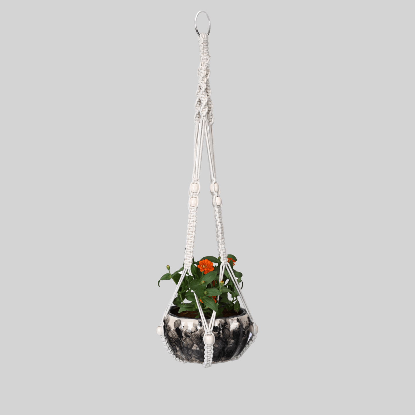 Macrame Cotton Assorted Plant Hanger pack of 3 | Stylish Indoor Decor - OIKO