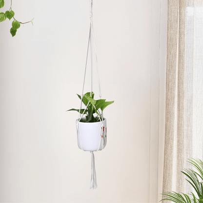 Macrame Cotton Plant Hanger | Stylish Indoor Decor - OIKO
