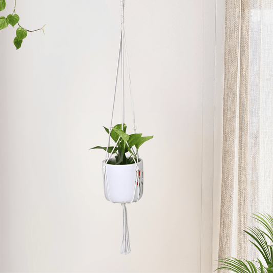 Macrame Cotton Plant Hanger | Stylish Indoor Decor - OIKO
