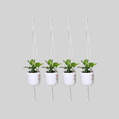 Macrame Cotton Plant Hanger | Stylish Indoor Decor - OIKO