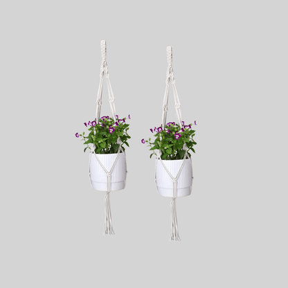 Macrame Cotton Plant Hanger | Stylish Indoor Decor - OIKO
