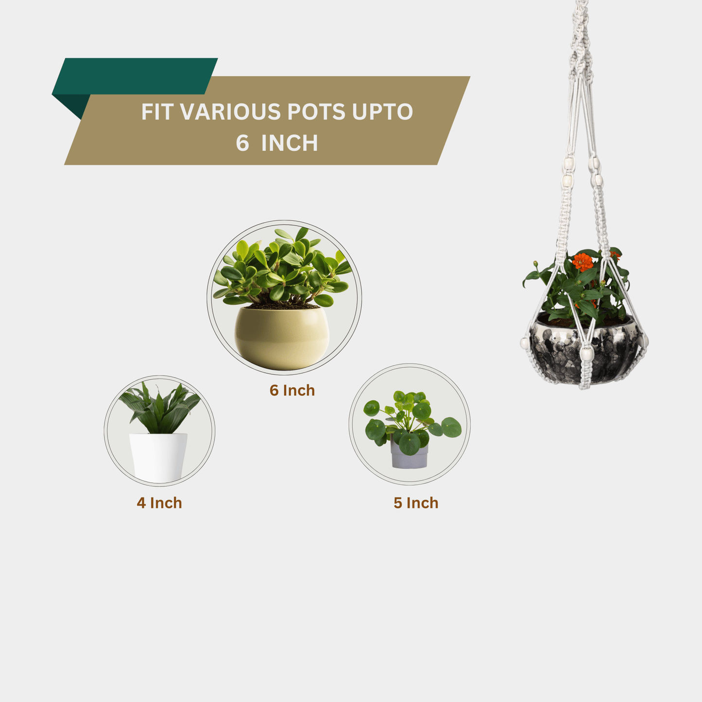 Macrame Cotton Plant Hanger with Wooden Beads | Stylish Indoor Decor - OIKO