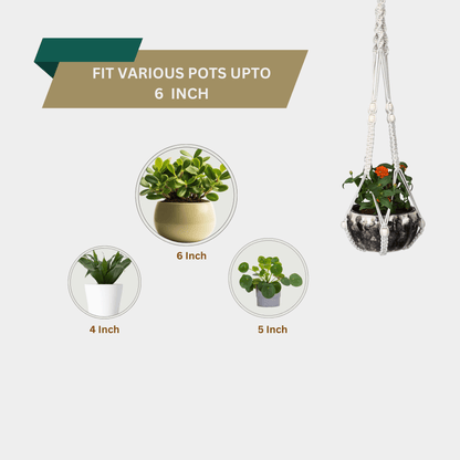 Macrame Cotton Plant Hanger with Wooden Beads | Stylish Indoor Decor - OIKO